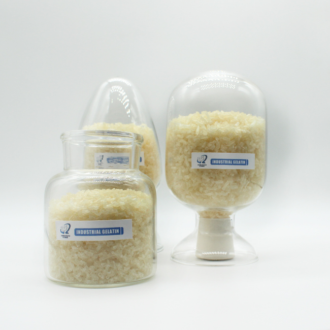 Halal Certificate for Food and Pharma Grade Bovine Beef Gelatin
