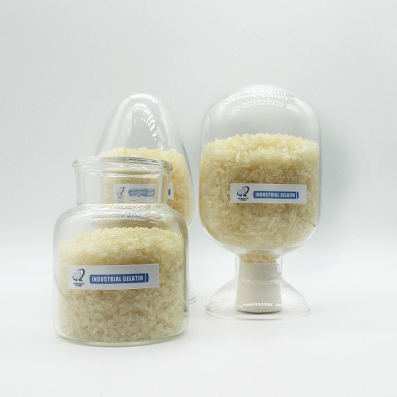 Halal Certificate for Food and Pharma Grade Bovine Beef Gelatin